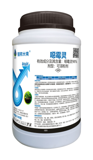 银邦大塽