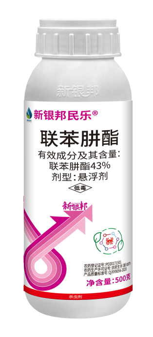 新银邦民乐