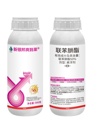 银邦爽到果