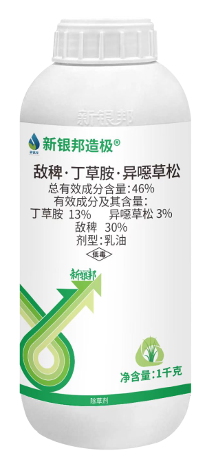 新银邦造极